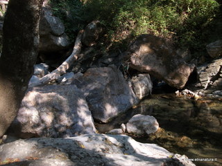 ldaia del Drago19-07-2015 09-19-25